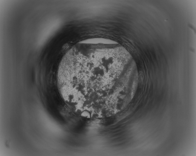 X0000091190527200709061016