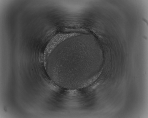 X0000091190528200709061016