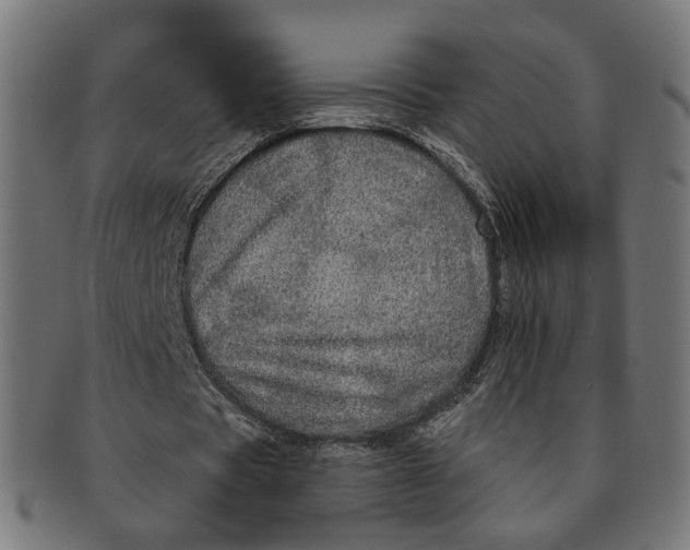 X0000091190529200709061015