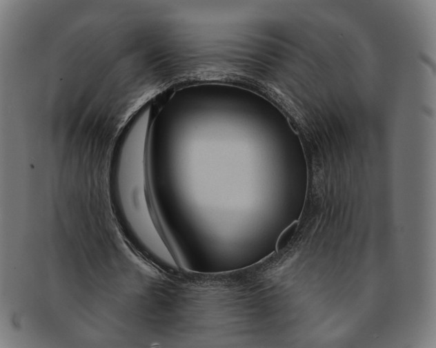 X0000091190530200709061015