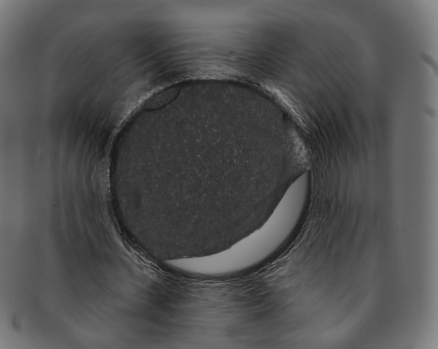 X0000091190531200709061015