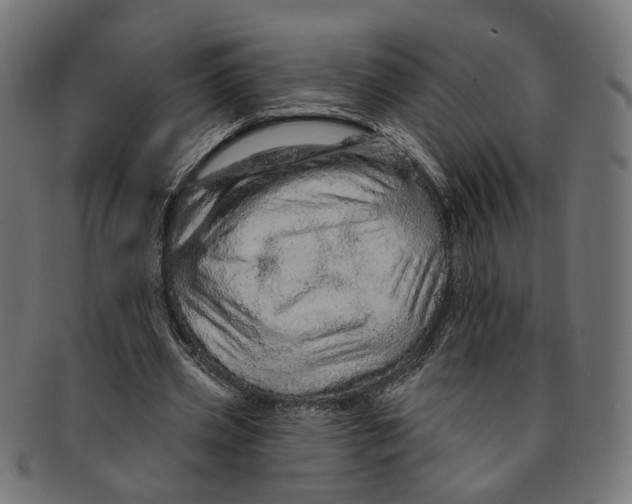 X0000091190533200709061015