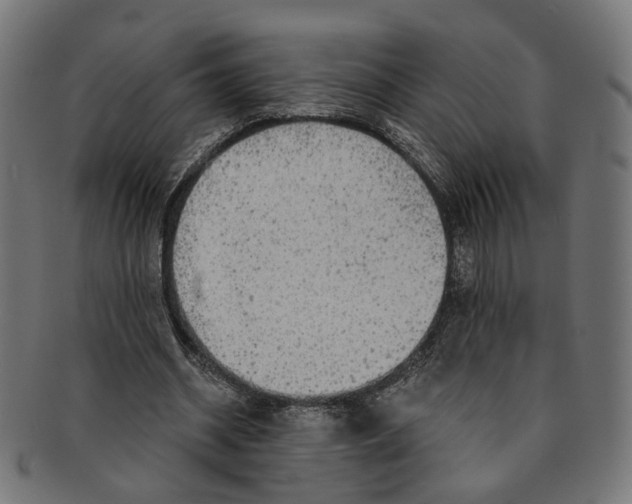 X0000091190534200709061015