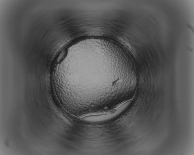 X0000091190535200709061015