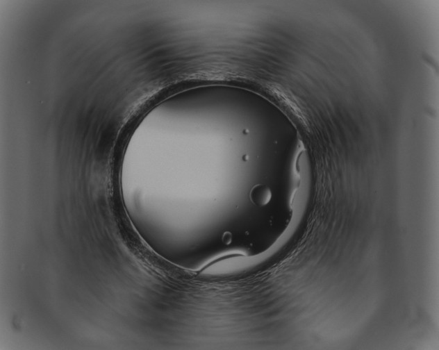 X0000091190536200709061015