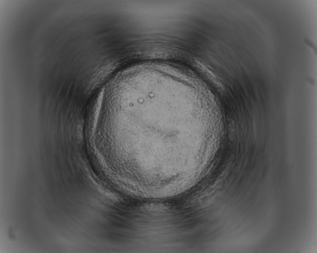 X0000091190537200709061015