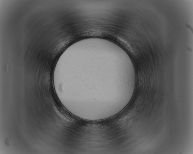 X0000091190538200709061015