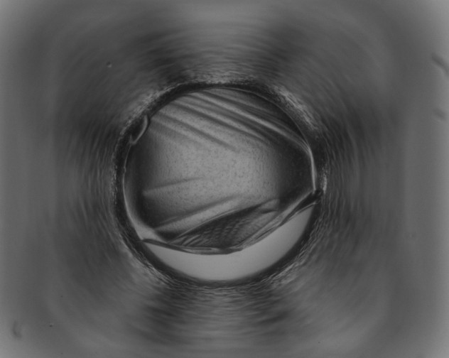 X0000091190540200709061015