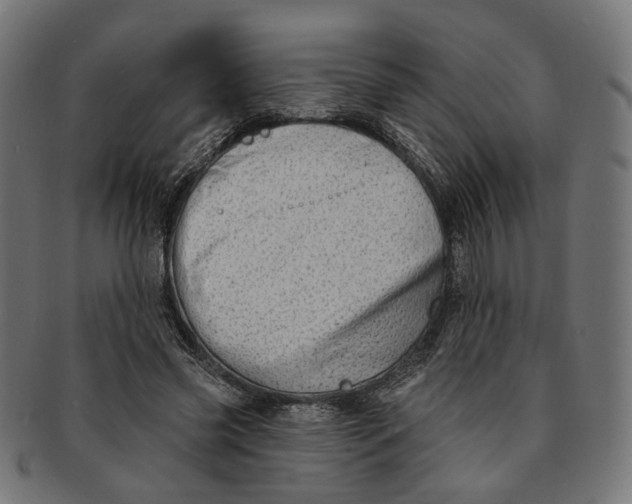 X0000091190541200709061015