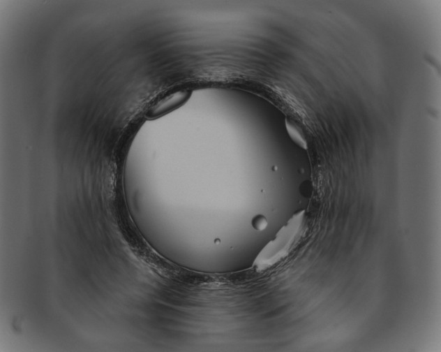 X0000091190544200709061015