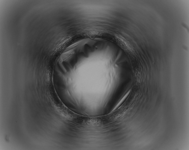 X0000091190546200709061016