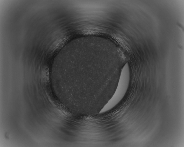 X0000091190547200709061016