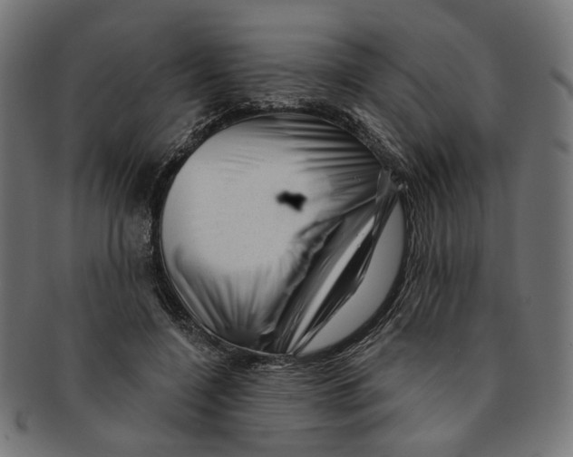 X0000091190548200709061016