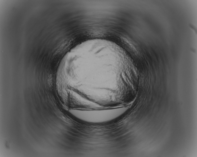 X0000091190549200709061016