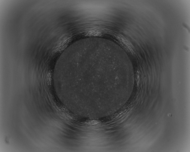 X0000091190551200709061016