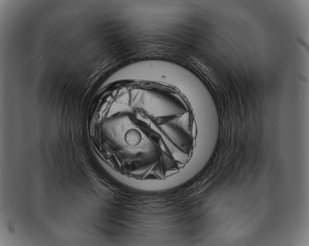 X0000091190552200709061016