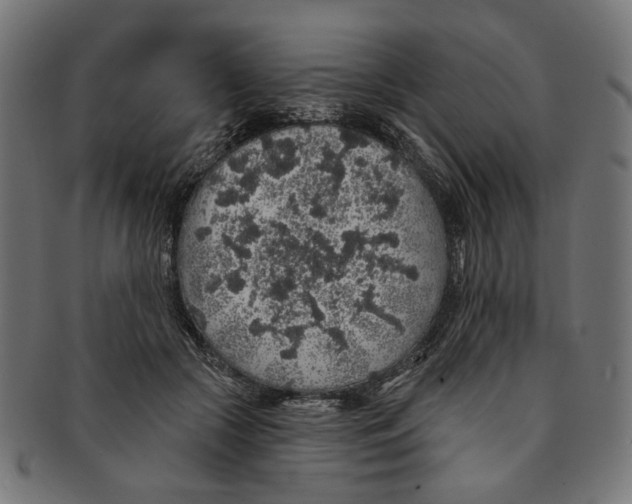 X0000091190553200709061016