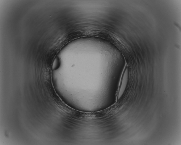 X0000091190554200709061016