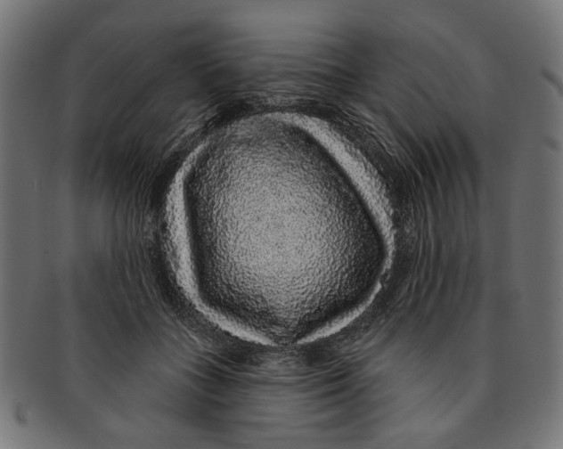 X0000091190555200709061016