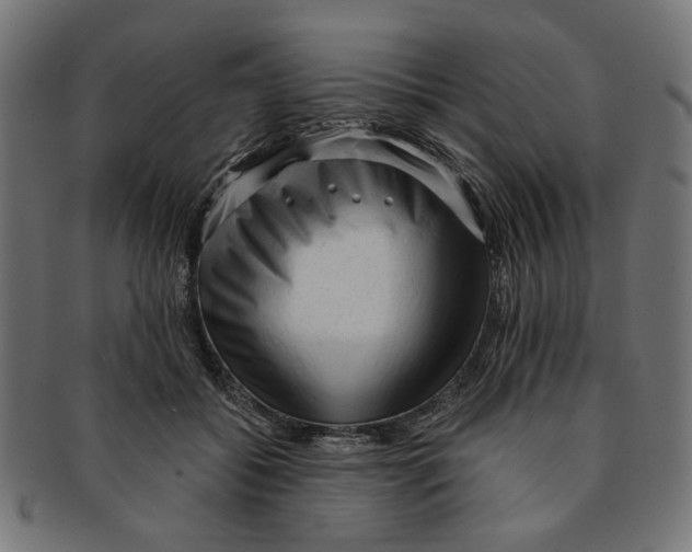 X0000091190556200709061016