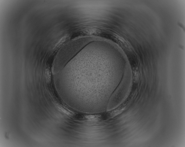 X0000091190558200709061016