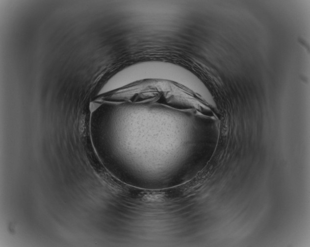 X0000091190560200709061016