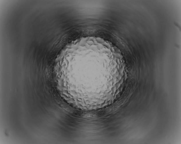 X0000091190561200709061016