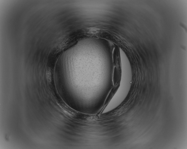 X0000091190562200709061016