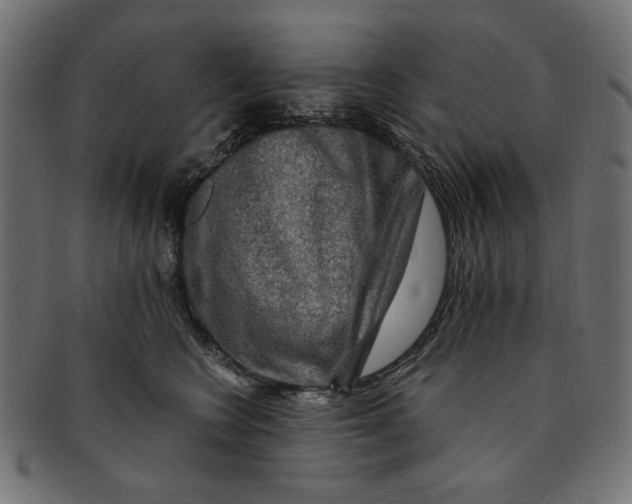 X0000091190566200709061016