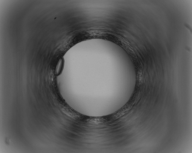 X0000091190567200709061016