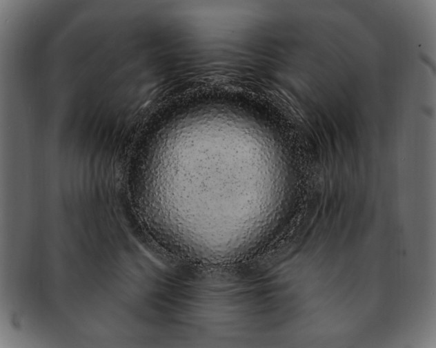 X0000091190568200709061016