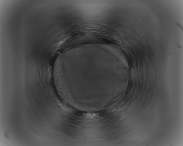 X0000091190570200709061016