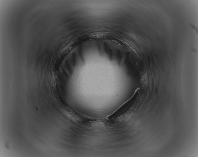 X0000091190572200709061016