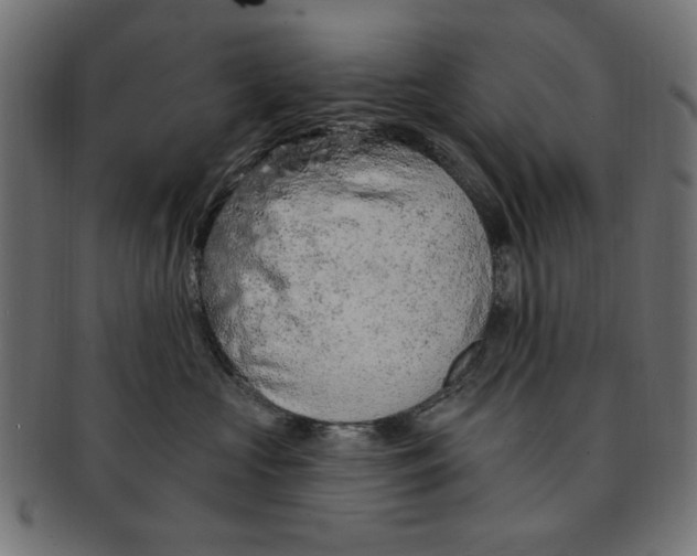 X0000091190573200709061016