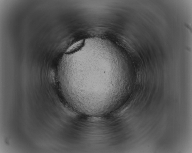 X0000091190575200709061016