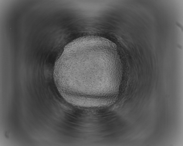 X0000091190576200709061016