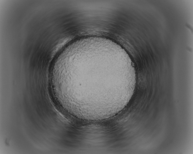 X0000091190578200709061015