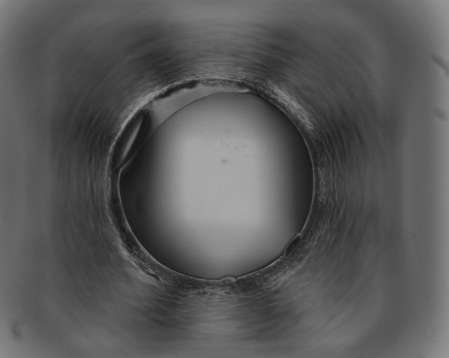 X0000091190580200709061015