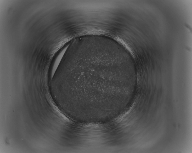 X0000091190581200709061015