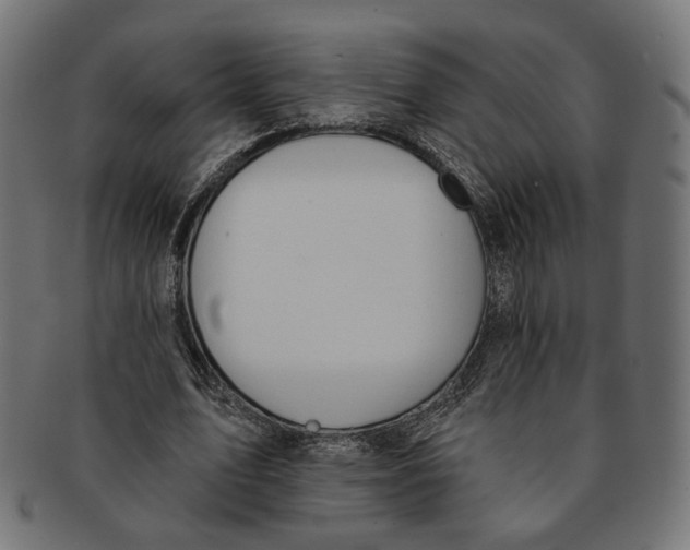 X0000091190583200709061015