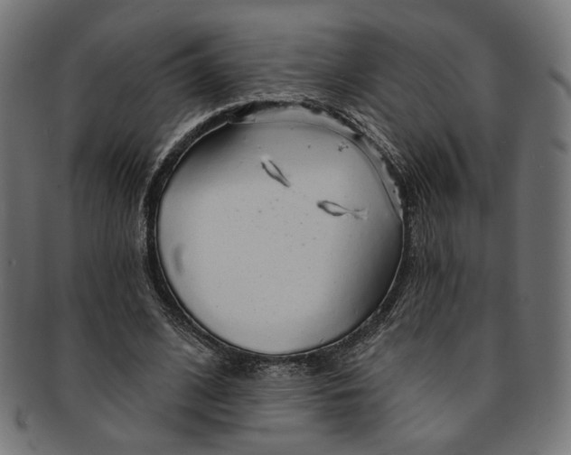 X0000091190584200709061015