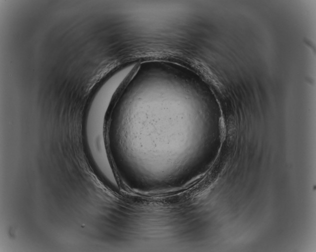 X0000091190585200709061015