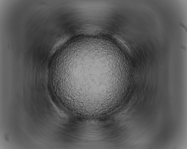 X0000091190586200709061015