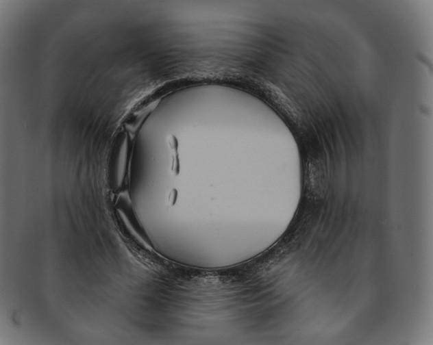 X0000091190588200709061015