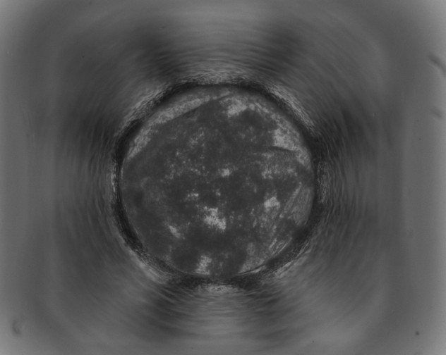 X0000091190590200709061015