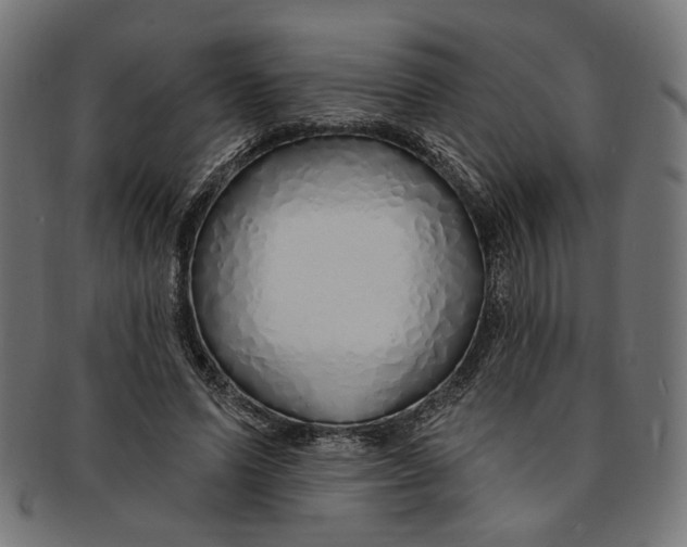 X0000091190591200709061015