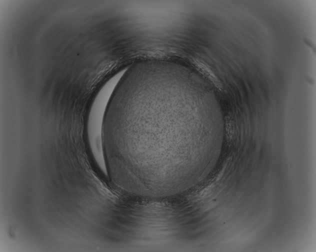 X0000091190593200709061015