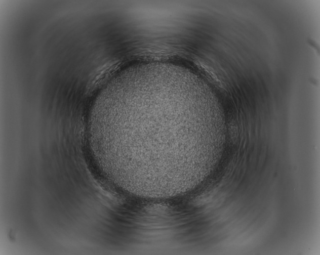 X0000091190594200709061015