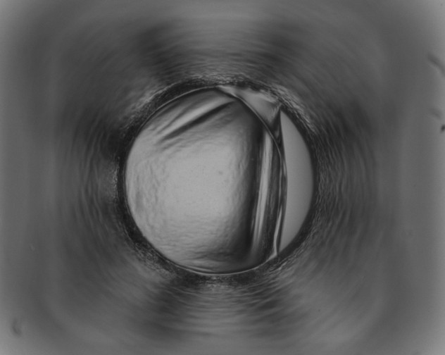 X0000091190596200709061015