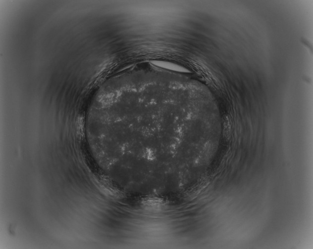 X0000091190598200709061015